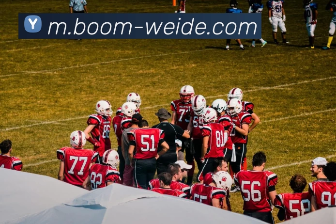 App Interface Preview