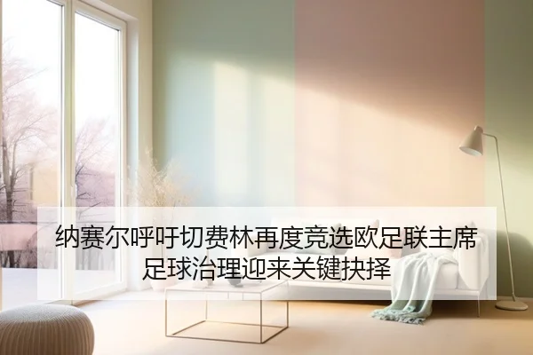 纳赛尔呼吁切费林再度竞选欧足联主席 足球治理迎来关键抉择 - WEIDESPORT